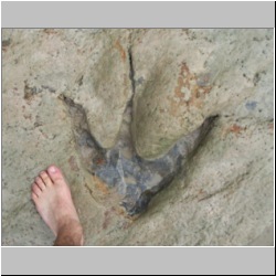 100_1561 (2009-28-07)m.JPG